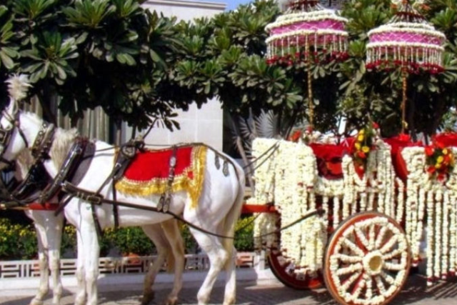 Royal wedding horse Ghodi Baggi service