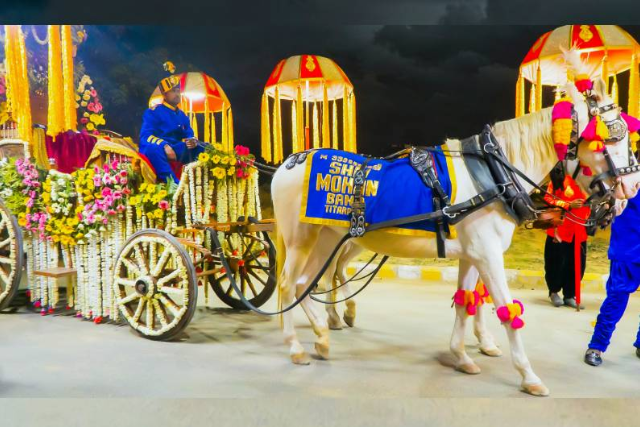 Ghodi Baggi groom entry service with music and lights